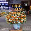 shop-hoa-tuoi-xa-thuan-thoi-tra-on-vinh-long - ảnh nhỏ  1