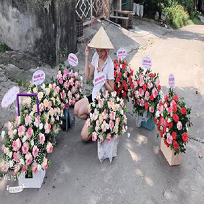 Tiệm hoa tươi phường c