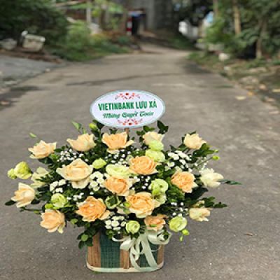 Tiệm hoa tươi xã Hòa An Cao Lãnh Đồng Tháp
