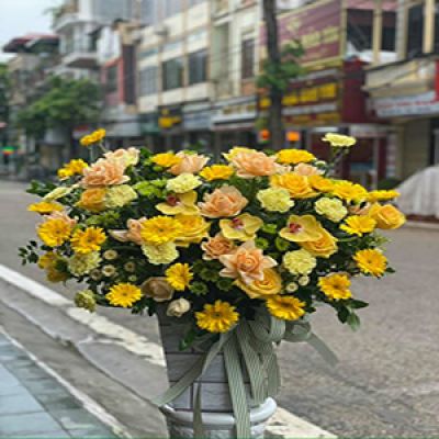 Shop hoa tươi xã Lương An Trà Tri Tôn An Giang