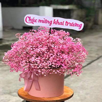 Shop hoa tươi xã Bình Trị Kiên Lương Kiên Giang 