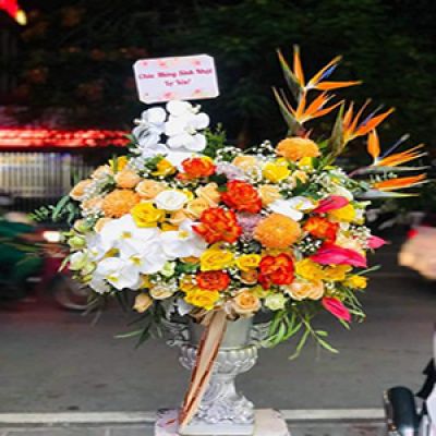Shop hoa tươi Vị Thanh Hậu Giang
