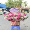 shop-hoa-tuoi-xa-vinh-thinh-hoa-binh-bac-lieu - ảnh nhỏ  1