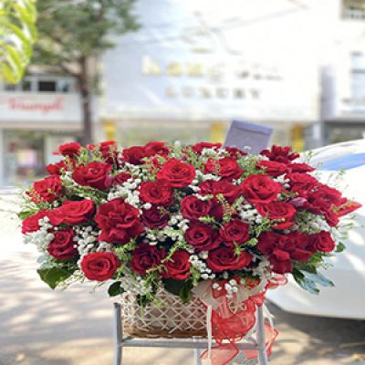 Shop hoa tươi xã Khánh Hải Trần Văn Thời Cà Mau 