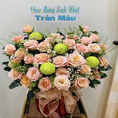 Shop hoa tươi xã Tạ An Khương Đầm Dơi Cà Mau 