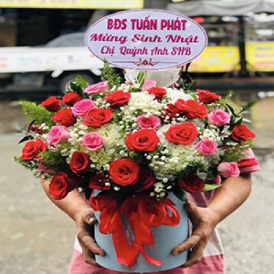 Shop hoa tươi phường Phường 7 Quận Bình Thạnh 