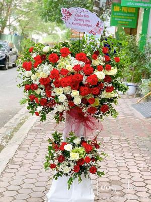 HKT029 - Sức sống