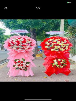 Đặt Hoa Khai Trương Móng Cái Chất Lượng Giá Rẻ