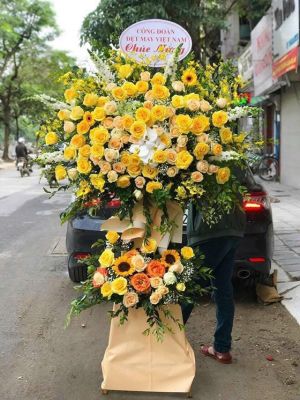 Đặt Hoa Khai Trương Thái Bình Chất Lượng Giá Rẻ