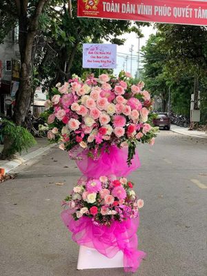 Đặt Hoa Khai Trương Thủ Dầu Một Chất Lượng Giá Rẻ