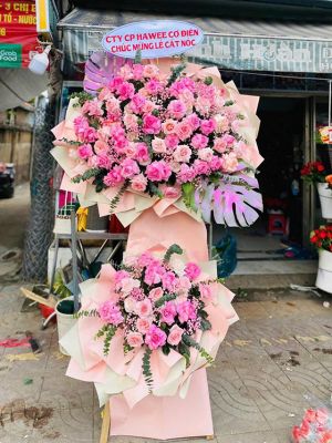 Đặt Hoa Khai Trương Sông Cầu Giá Hợp Lý Uy Tín  
