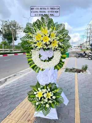 Shop Hoa Tươi Phường Lý Văn Lâm Cà Mau