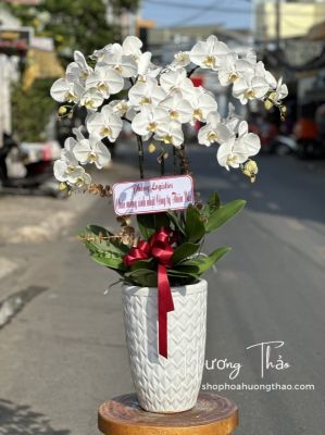 Shop Hoa Tươi Xã Sơn Lộ Cao Bằng