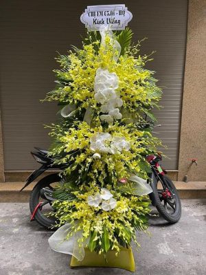 Shop Hoa Tươi Xã Tân Yên Bắc Ninh