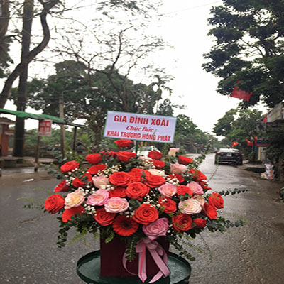Dịch vụ hoa tươi Xã Hòa Phú Huyện Ứng Hòa Hà Nội
